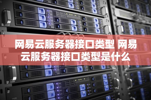 网易云服务器接口类型 网易云服务器接口类型是什么