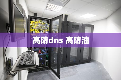 高防dns 高防油