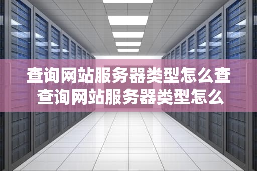 查询网站服务器类型怎么查 查询网站服务器类型怎么查看