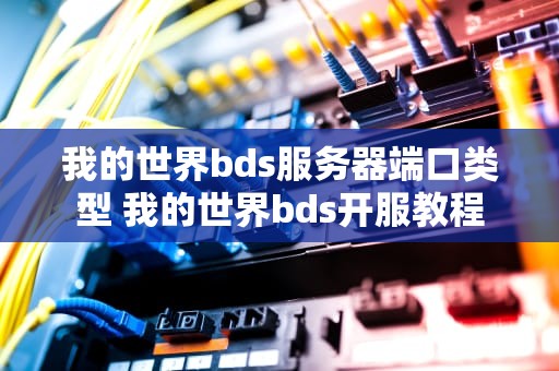 我的世界bds服务器端口类型 我的世界bds开服教程