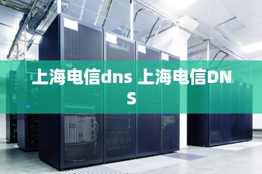 上海电信dns 上海电信DNS