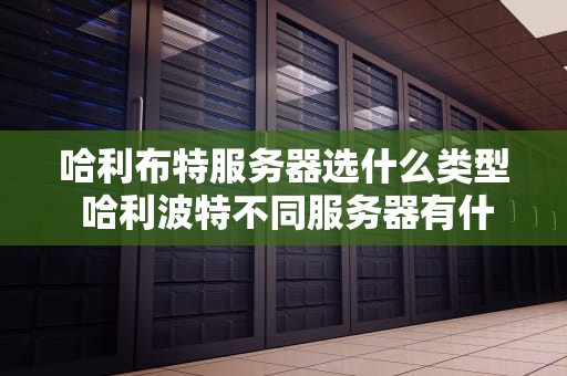 哈利布特服务器选什么类型 哈利波特不同服务器有什么区别