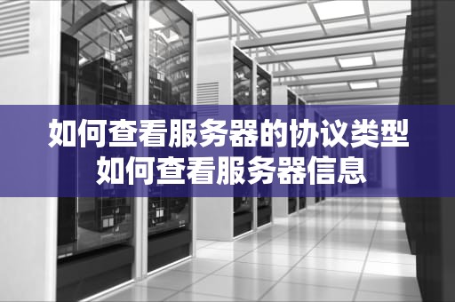 如何查看服务器的协议类型 如何查看服务器信息