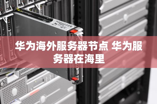 华为海外服务器节点 华为服务器在海里