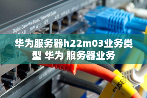 华为服务器h22m03业务类型 华为 服务器业务