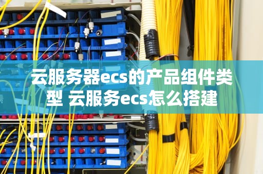 云服务器ecs的产品组件类型 云服务ecs怎么搭建