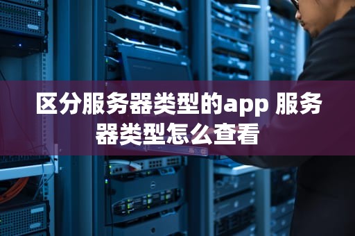 区分服务器类型的app 服务器类型怎么查看