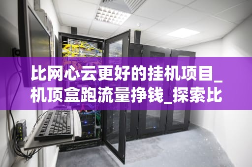 比网心云更好的挂机项目_机顶盒跑流量挣钱_探索比网心云更好的挂机项目