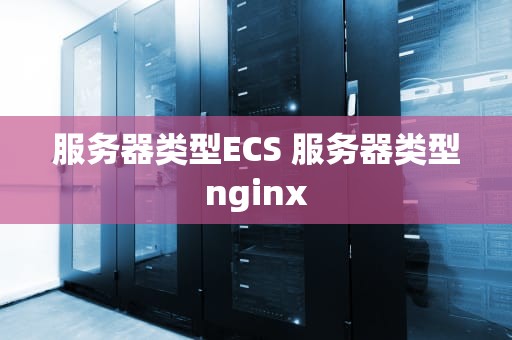 服务器类型ECS 服务器类型nginx