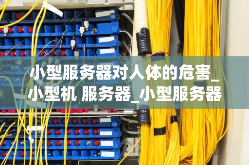 小型服务器对人体的危害_小型机 服务器_小型服务器对人体的潜在危害