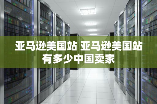 亚马逊美国站 亚马逊美国站有多少中国卖家
