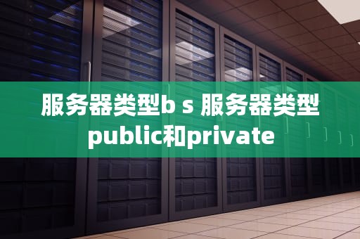 服务器类型b s 服务器类型public和private