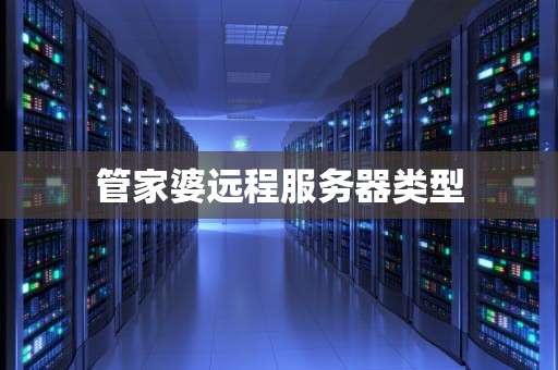 管家婆远程服务器类型