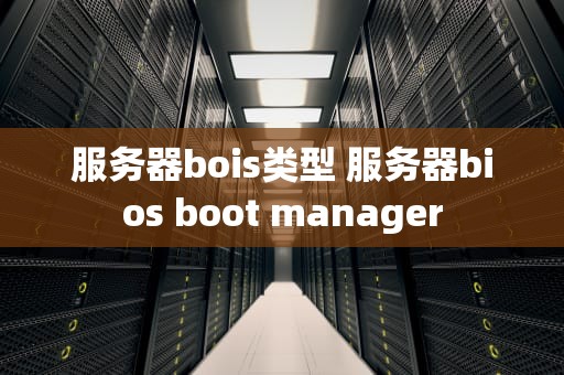 服务器bois类型 服务器bios boot manager