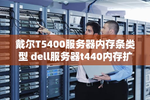 戴尔T5400服务器内存条类型 dell服务器t440内存扩容图解