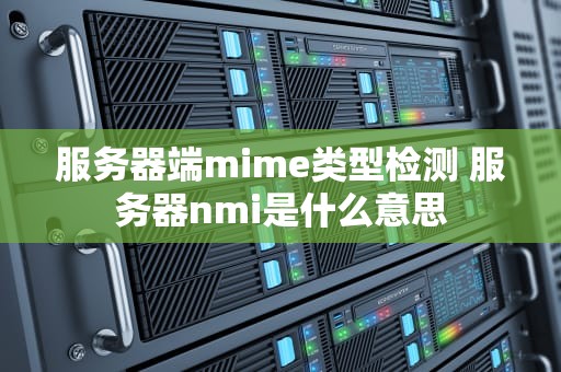 服务器端mime类型检测 服务器nmi是什么意思