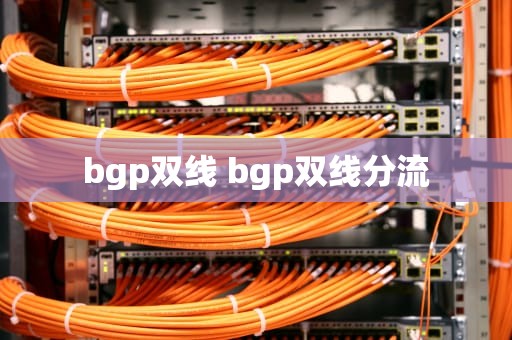 bgp双线 bgp双线分流
