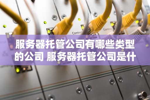 服务器托管公司有哪些类型的公司 服务器托管公司是什么意思