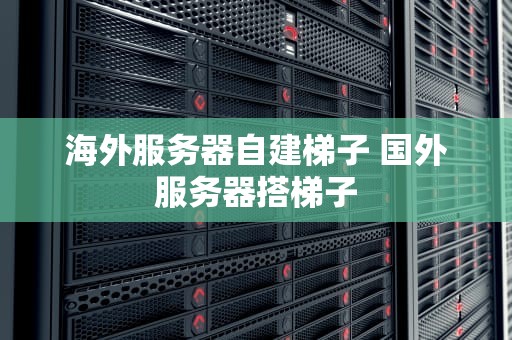 海外服务器自建梯子 国外服务器搭梯子