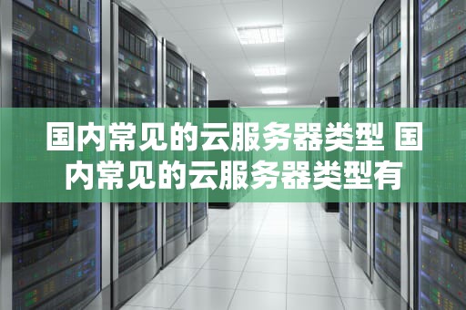 国内常见的云服务器类型 国内常见的云服务器类型有