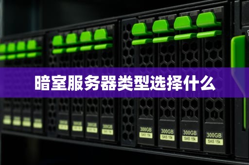 暗室服务器类型选择什么