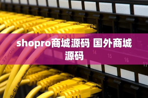 shopro商城源码 国外商城源码