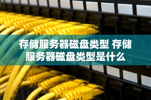 存储服务器磁盘类型 存储服务器磁盘类型是什么