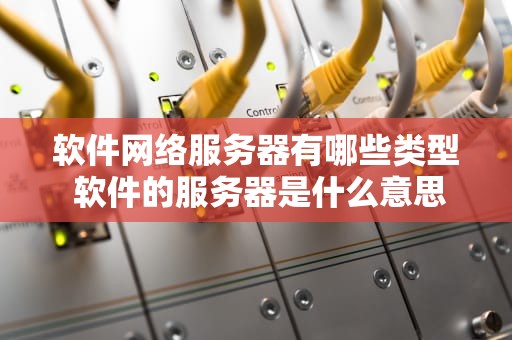 软件网络服务器有哪些类型 软件的服务器是什么意思