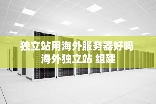 独立站用海外服务器好吗 海外独立站 组建