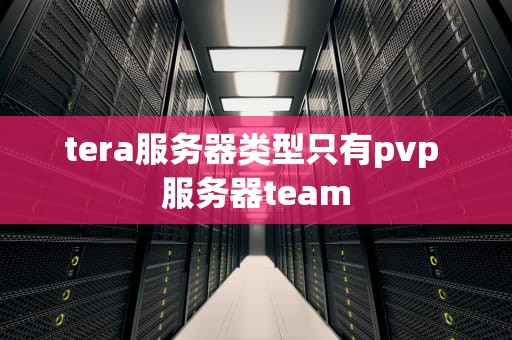 tera服务器类型只有pvp 服务器team