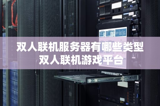 双人联机服务器有哪些类型 双人联机游戏平台