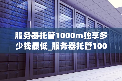 服务器托管1000m独享多少钱最低_服务器托管1000m独享多少钱最低消费_服务器托管1000M独享服务的价格分析