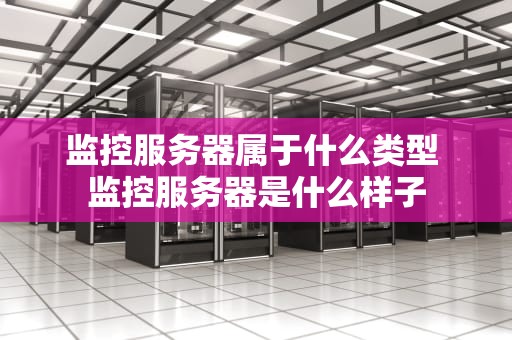 监控服务器属于什么类型 监控服务器是什么样子