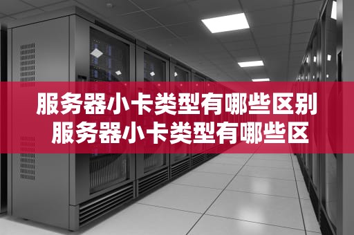 服务器小卡类型有哪些区别 服务器小卡类型有哪些区别图片