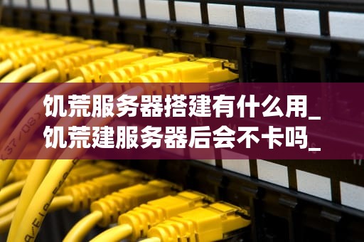 饥荒服务器搭建有什么用_饥荒建服务器后会不卡吗_饥荒服务器搭建及其用途