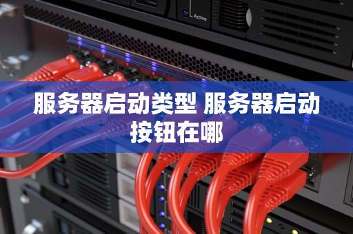 服务器启动类型 服务器启动按钮在哪