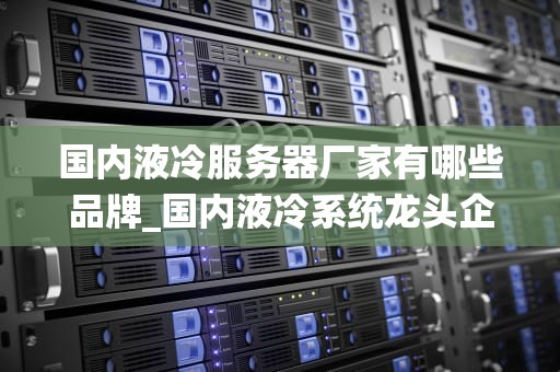 国内液冷服务器厂家有哪些品牌_国内液冷系统龙头企业_国内液冷服务器厂家及其品牌分析