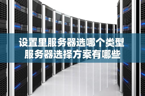 设置里服务器选哪个类型 服务器选择方案有哪些