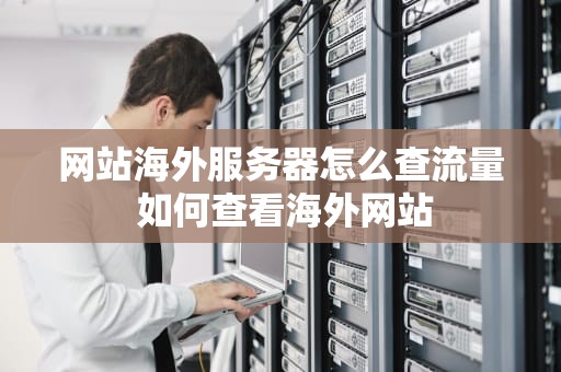 网站海外服务器怎么查流量 如何查看海外网站