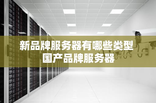 新品牌服务器有哪些类型 国产品牌服务器