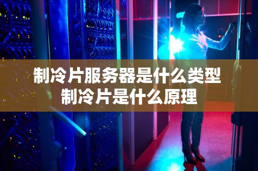 制冷片服务器是什么类型 制冷片是什么原理