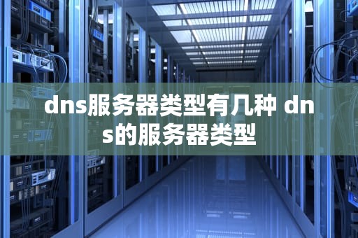 dns服务器类型有几种 dns的服务器类型
