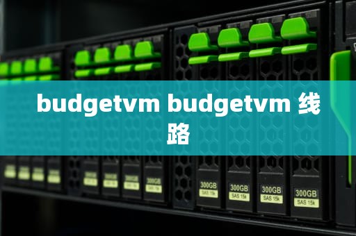 budgetvm budgetvm 线路
