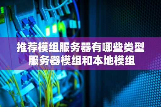 推荐模组服务器有哪些类型 服务器模组和本地模组