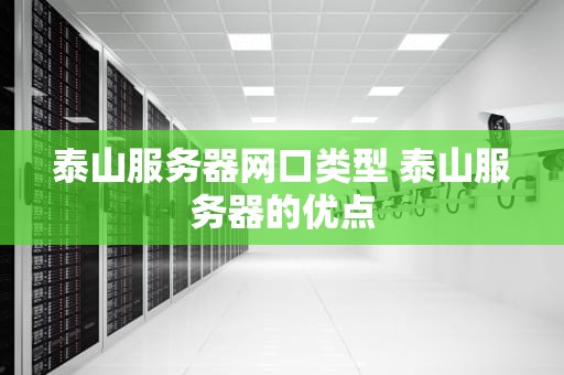 泰山服务器网口类型 泰山服务器的优点