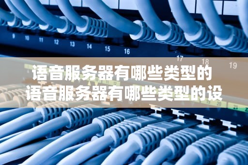 语音服务器有哪些类型的 语音服务器有哪些类型的设备