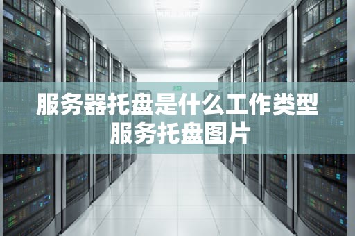 服务器托盘是什么工作类型 服务托盘图片