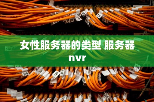 女性服务器的类型 服务器nvr