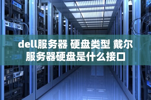 dell服务器 硬盘类型 戴尔服务器硬盘是什么接口