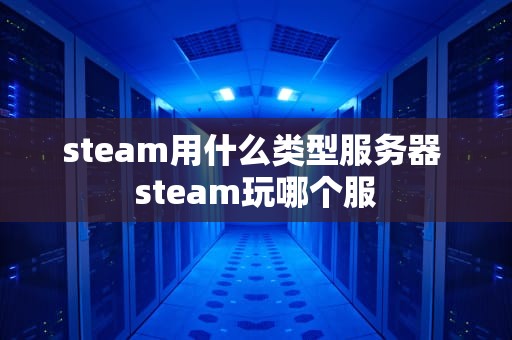 steam用什么类型服务器 steam玩哪个服